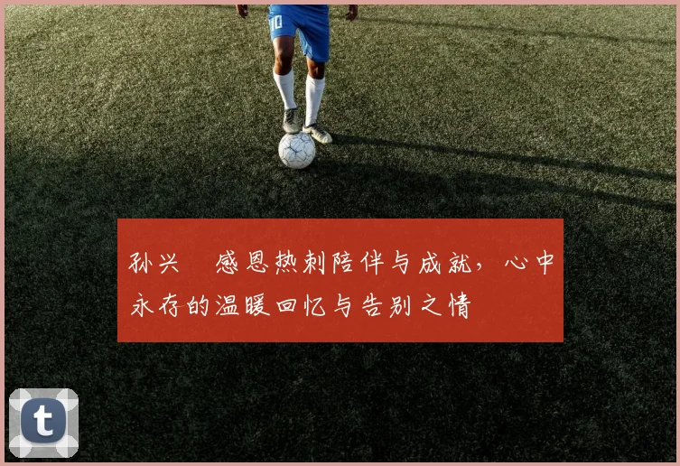 孙兴慜感恩热刺陪伴与成就，心中永存的温暖回忆与告别之情